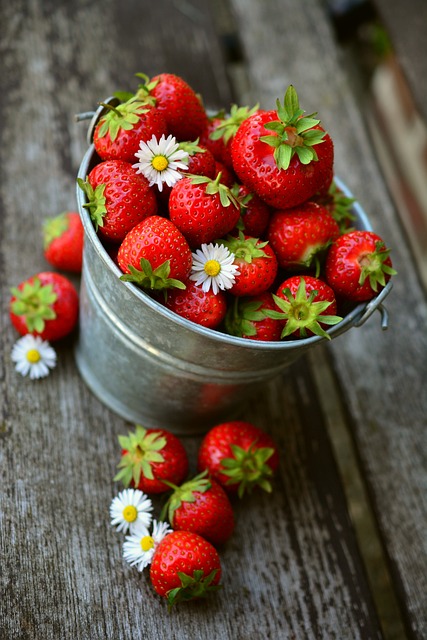 seau avec des fraises du jardin